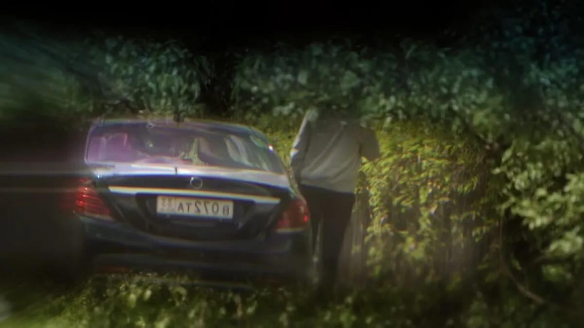 Фото галереи #1